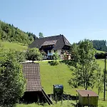 Rinkenbachhof * شنكنزل