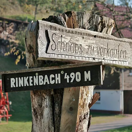 Rinkenbachhof * 스첸켄젤