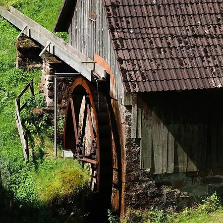 Rinkenbachhof Schenkenzell